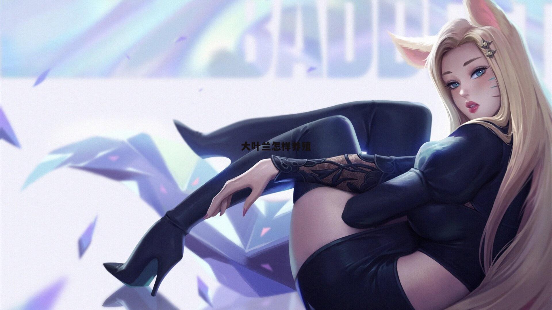 大叶兰怎样养殖